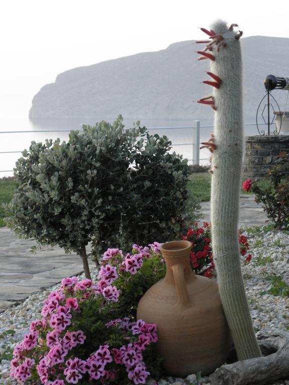 Villa Tholos Crete Kavoúsion Dış mekan fotoğraf