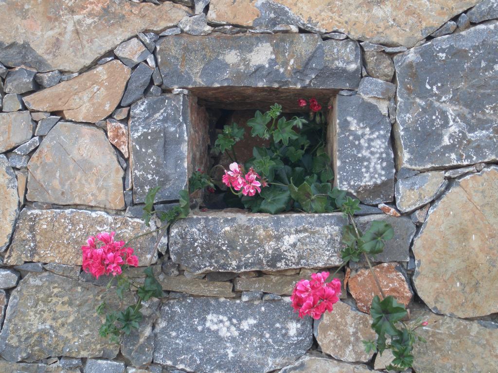 Villa Tholos Crete Kavoúsion Dış mekan fotoğraf